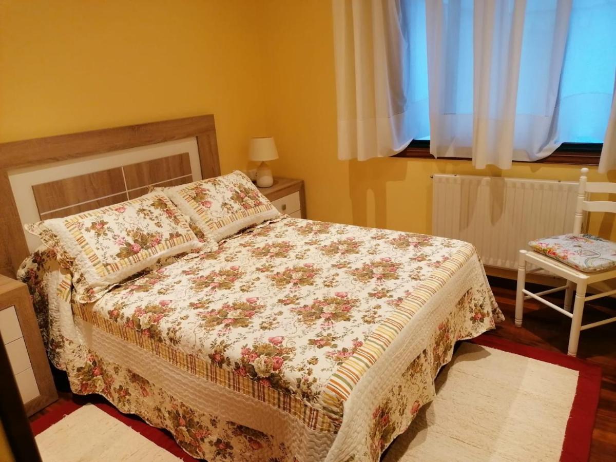 Апартаменты Piso As Camelias Понтеведра Экстерьер фото